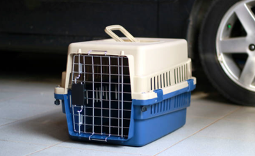 The world’s ugliest dog has been revealed we want to give her a hug