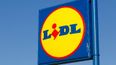 Green Party ask Lidl to NOT sell pools next week; Lidl selling them anyway