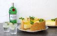 The delicious gin and tonic cheesecake recipe that is absolutely life-changing