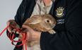 An airport had to be evacuated after a pet rabbit caused a bomb scare