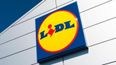 Nurse quits job, moves to Lidl for ‘better pay and less stress’