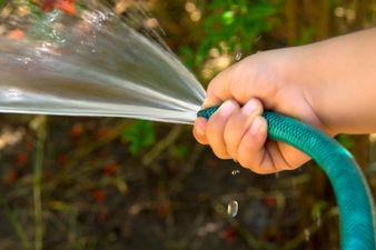 How Gardaí can prosecute anyone found in breach of the hosepipe ban