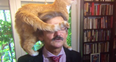 This interview was brilliantly ruined by interviewee’s cat live on TV