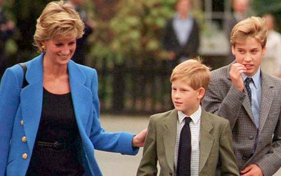 Princess Diana's ex-bodyguard has just shared some harsh words for Prince Harry