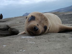 I will never forget my trip to the Galapagos…this is why you need to visit too