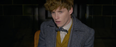 The new trailer for Fantastic Beasts 2 is here and it’s seriously dark
