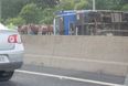 The M50 southbound is closed as a truck carrying several horses overturns
