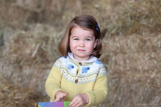 princess charlotte's t
