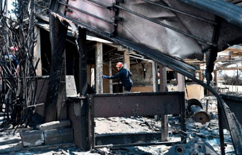‘Serious indications’ that Greece fire that killed 83 was caused by arson