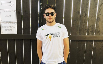 This girl got shut down hard by Niall Horan when she asked if she should date him