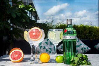 These three Dublin restaurants are launching GIN terraces and we’re living for them, tbh