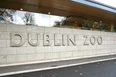 Tickets at Dublin Zoo are half price for the next four weekends