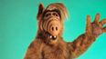 80’s sitcom ALF is set for a REBOOT, and we’re so nostalgic
