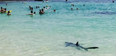 Mallorca beach evacuated after 10ft shark found swimming in the shallows
