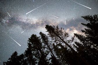 The best meteor shower of 2018 takes place over Ireland tonight
