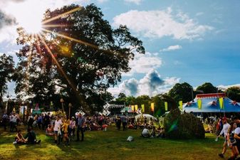 If you want to take some time out from music at Electric Picnic, these are our top picks