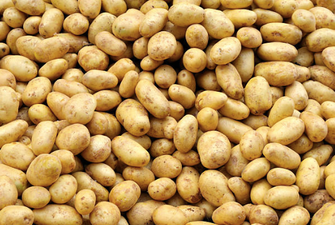 Potatoes are less popular these days and it’s all our fault