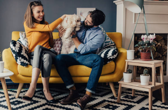 Pet-nup? A lot of people are making sure they can keep their pet after a breakup