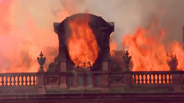 Abandoned baby seagull rescued from Belfast Primark during fire