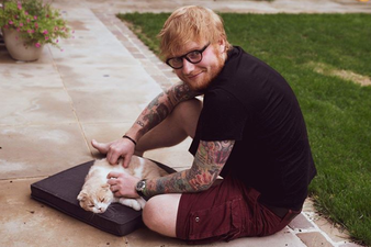 Ed Sheeran has just landed a major movie role