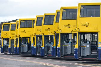 Dublin Bus starts new ‘175’ route this Sunday and here’s where it serves