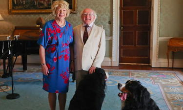 President Higgins’ dog totally stole the show in a meeting yesterday