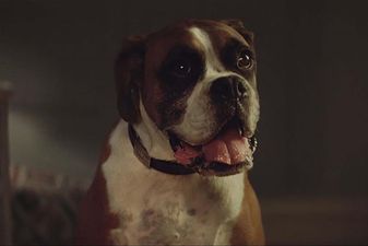 A famous face is reportedly set to star in this year’s John Lewis Christmas advert