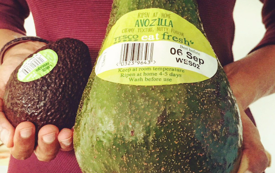 avozilla