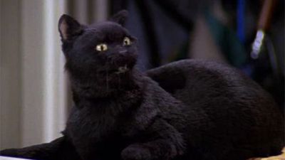 Netflix’s Sabrina the Teenage Witch reboot almost made a huge change to Salem
