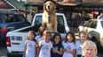 American town elects golden retriever as mayor because he’s an extremely good boy