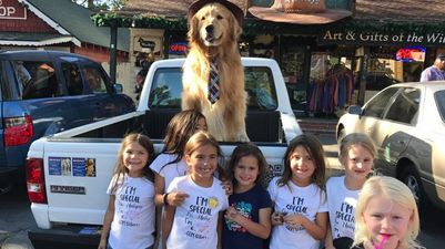 American town elects golden retriever as mayor because he’s an extremely good boy