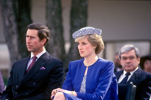 princess diana