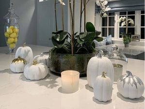 This is where you can buy Pippa O’Connor’s ceramic pumpkins for Halloween