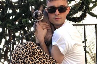 10 dotey animal Instagram accounts you absolutely NEED to follow