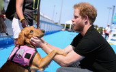 Definitive proof that Prince Harry can communicate with dogs
