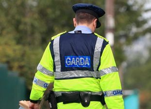 Gardaí confirm taxi license for man who pled guilty to sexual assaults has been revoked