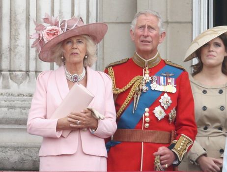 Charles and Camilla's affair