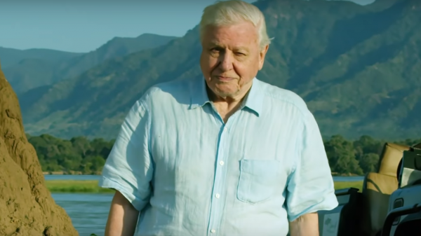 David AttenBAE has a new BBC series coming out and it looks AMAZING