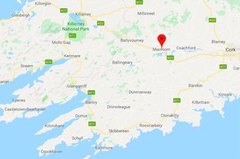 A man has died following a shooting at a farmhouse in Cork