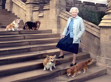 Queen's corgis