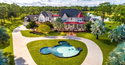This Disney-inspired mansion has a Mickey Mouse swimming pool, and is currently for sale