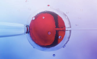 IVF successes are leading to a drop in adoption rates