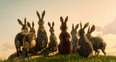 Watership Down is getting remade and the first images look incredible
