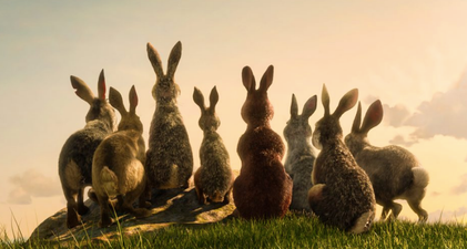 Watership Down is getting remade and the first images look incredible