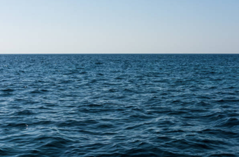 Baby saved by New Zealand fisherman after he was floating in the sea alone