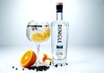 Dingle Gin is selling a limited edition Four Seasons gift set JUST in time for Christmas
