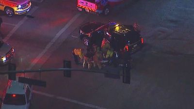 12 people killed in mass shooting after gunman opens fire in Los Angeles bar