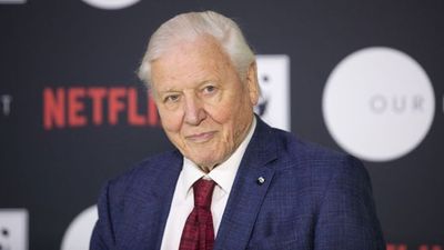 A brand new David Attenborough documentary is on its way to Netflix