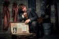 The Harry Potter throwback you may have missed in Fantastic Beasts 2