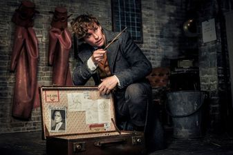 The Harry Potter throwback you may have missed in Fantastic Beasts 2